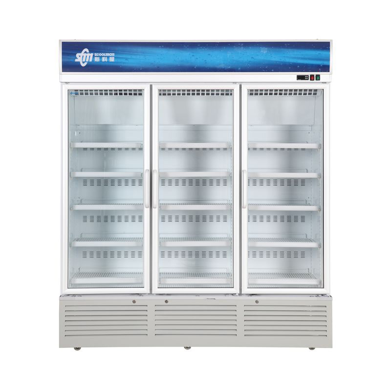 Movable Upright Cooler for Display And Sale of Beverages, Floral with Tempered Insulated Hinged Door
